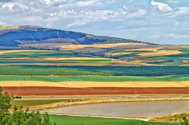 Renkli Golan Tepeleri İsrail