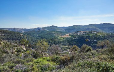 Orman Sataf batısında Kudüs İsrail. Yürüyüş ve doğa, güzel bir alana. 