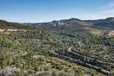 Orman Sataf batısında Kudüs İsrail. Yürüyüş ve doğa, güzel bir alana. 