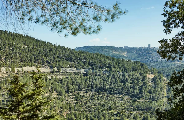 Sataf Wald Westlich Von Jerusalem Israel Eine Schöne Gegend Zum — Stockfoto