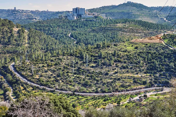 Orman Sataf batısında Kudüs İsrail. Yürüyüş ve doğa, güzel bir alana. 