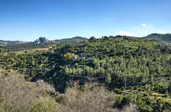 Bosque Sataf Oeste Jerusalén Israel Una Hermosa Zona Senderismo Disfrutar — Foto de Stock