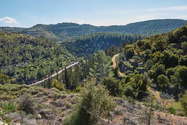 Sataf Wald Westlich Von Jerusalem Israel Eine Schöne Gegend Zum — Stockfoto