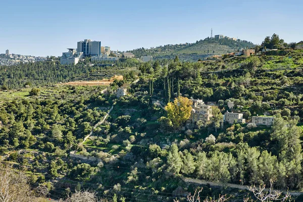 Floresta Sataf Oeste Jerusalém Israel Uma Bela Área Caminhadas Desfrutar — Fotografia de Stock
