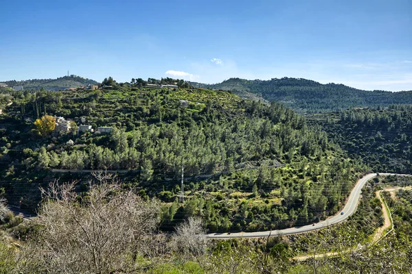 Bosque Sataf Oeste Jerusalén Israel Una Hermosa Zona Senderismo Disfrutar — Foto de Stock