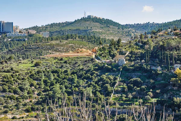 Floresta Sataf Oeste Jerusalém Israel Uma Bela Área Caminhadas Desfrutar — Fotografia de Stock