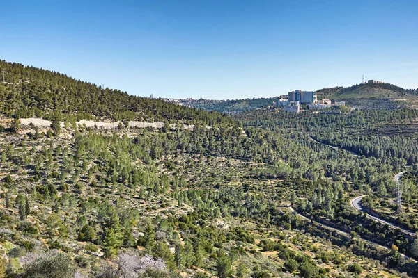 Лес Сатафа Западу Иерусалима Израиль Красивое Место Прогулок Наслаждения Природой — стоковое фото
