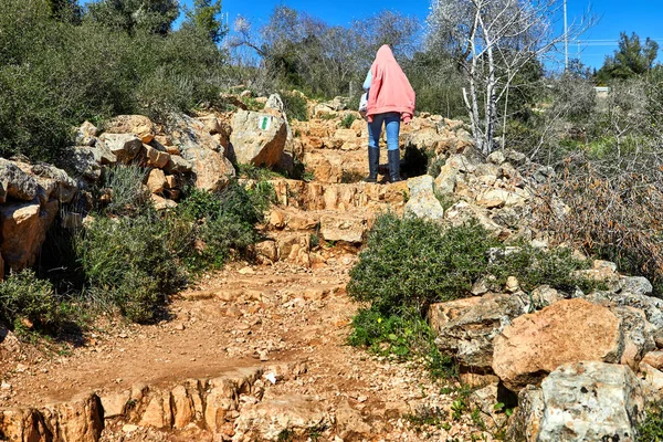 Bosque Sataf Oeste Jerusalén Israel Una Hermosa Zona Senderismo Disfrutar — Foto de Stock