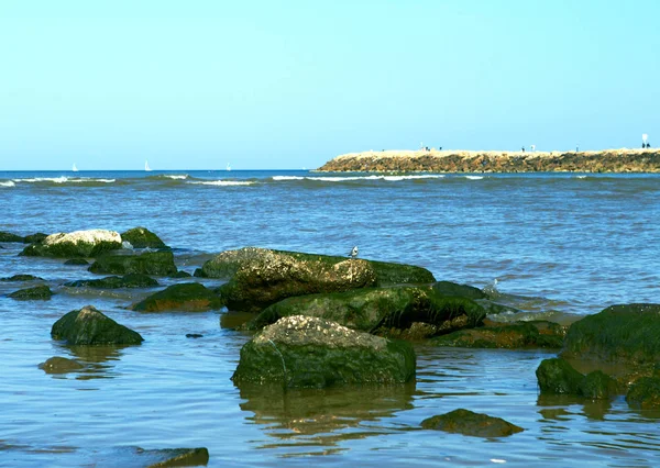 Mittelmeer im Sommer — Stockfoto