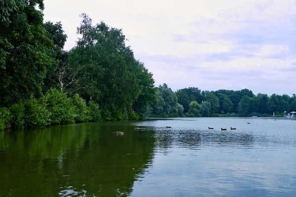 Lago en el parque, — Foto de Stock