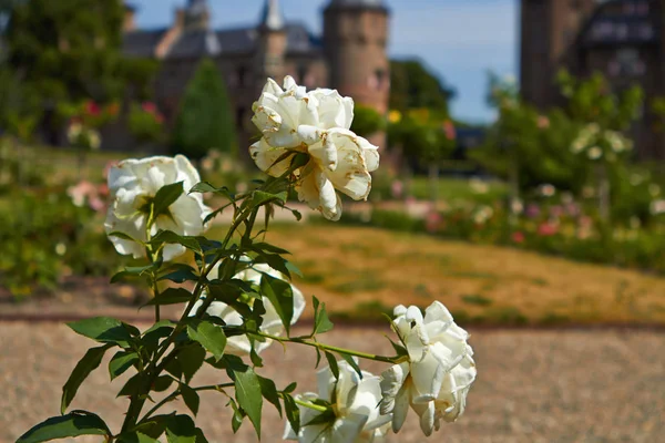 Garten des Schlosses de haar — Stockfoto