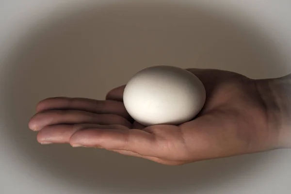 Poner huevos en la mano de una mujer —  Fotos de Stock