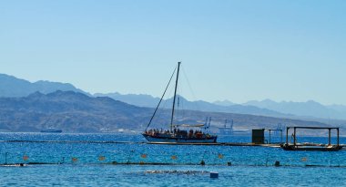 Kızıldeniz'deki yunus resifi