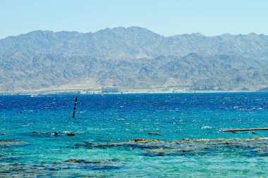 Kızıldeniz Eilat mercan resifi,
