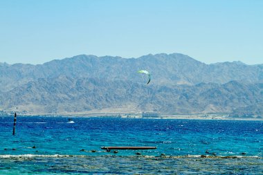 Kızıldeniz Eilat mercan resifi,