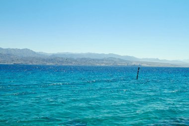 Kızıldeniz Eilat mercan resifi,