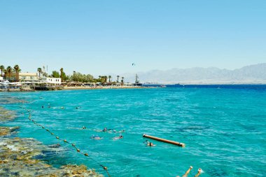 Kızıldeniz Eilat mercan resifi,