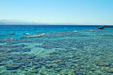 Kızıldeniz Eilat mercan resifi,