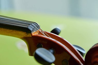 Yeşil arka planda keman kafası