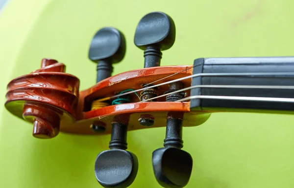 Hegedű fej, zöld háttér — Stock Fotó