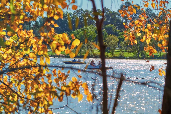 Árboles y estanques en el parque de la ciudad — Foto de Stock