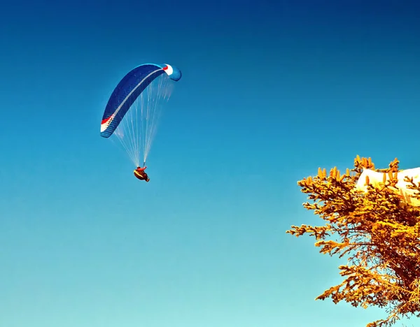 Blue paraglider flying — Stock Photo, Image