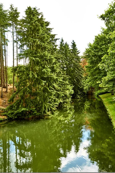 Jezioro w parku letnim. pięknym letnim parkiem. Holandia, lipiec — Zdjęcie stockowe