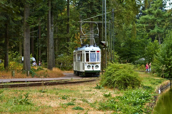 Tranvía en el parque de verano . — Foto de Stock