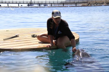 Suda kadın ve yunus.