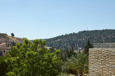 Kudüs korusu merkezinde Kudüs manzarası