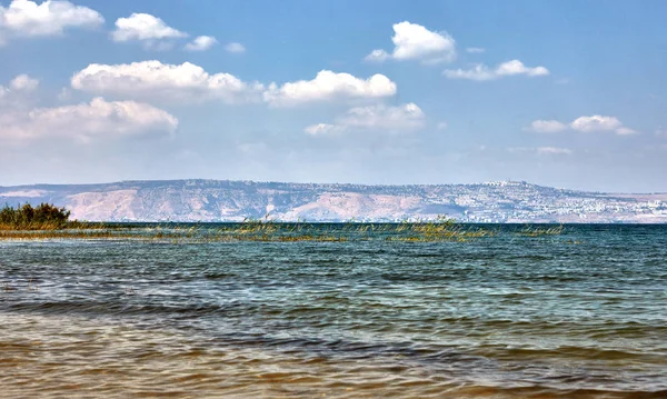 Acre antik çağlarda önemli bir liman kenti oldu. Modern marina eski şehrin güney tarafında - eski liman eskiden olduğu yer almaktadır. — Stok fotoğraf