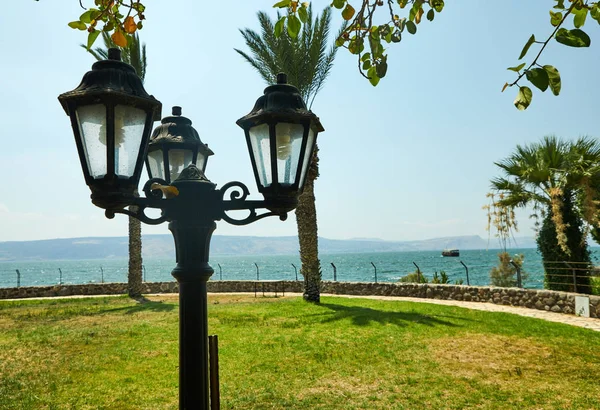 Vintage lantern, palm trees, green grass on the Sea of Galilee