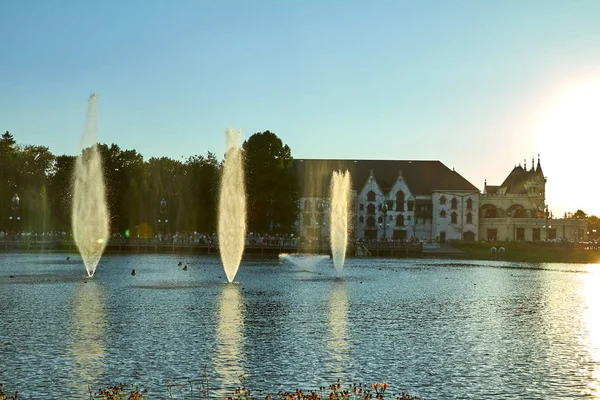 Fantasia parque de diversões temático Efteling. Fontes incomuns com fogo . — Fotografia de Stock