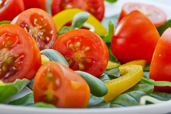 Beyaz bir tabakta fesleğen yaprakları, kiraz domates ve biber ile Salata. Yakın çekim, seçici odak