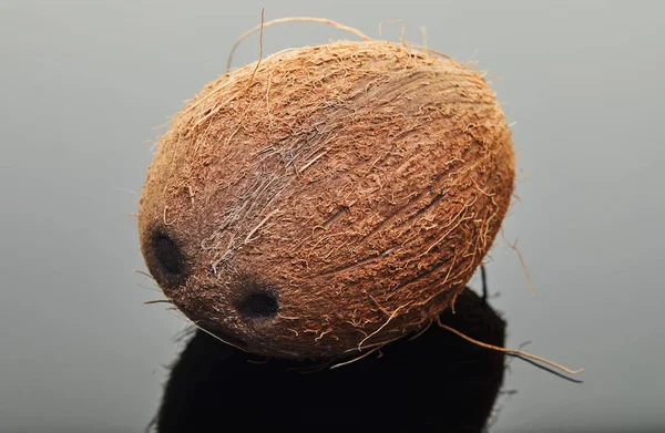 Coco fresco sobre um fundo cinza com reflexão. Produto biológico vegano — Fotografia de Stock