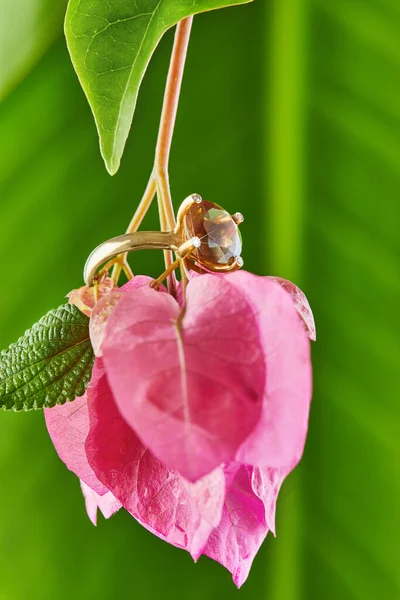 Anillo Oro Amarillo Con Diamantes Topacio Ahumado Sobre Flores Rosas — Foto de Stock