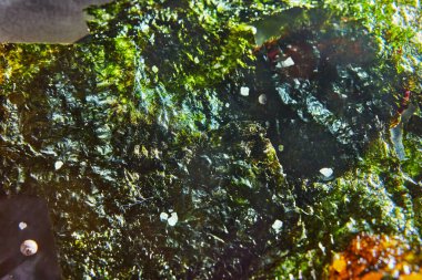 Çıtır yosun, nori dokusu. Japon yemeği nori. Kurutulmuş yosun çarşafları. Yakın plan.