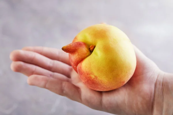 Een Lelijk Groente Fruit Hand Vasthouden Een Heel Lelijke Perzikmutant — Stockfoto