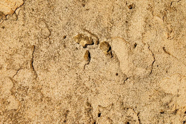 Textura Piedras Costeras Junto Mar Fondo — Foto de Stock