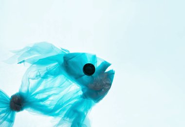 Plastik torbadan balık, çevre tasarrufu kavramı