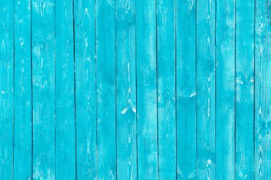 Tahtaların açık mavi ahşap arka planı. Eski, yıpranmış, çatlak boya. Parlak doymuş.