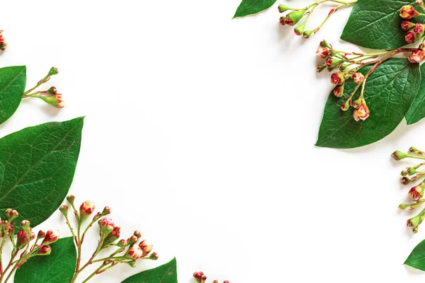 Beyaz Arka Planda Modern Beyaz Kağıt Resim Yeşil Şablonu Çiçek — Stok fotoğraf