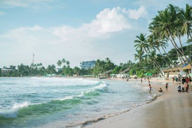 Tropikal Hint Okyanusu kıyısındaki orman sahili Hindistan palmiyeleri adası Sri Lanka