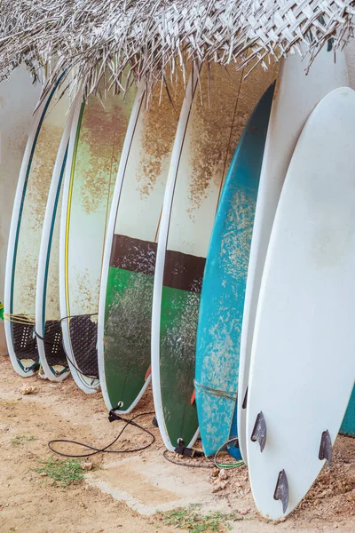 Surf Prkna Pronájmu Pláži Moře Vodní Sporty Výlet — Stock fotografie