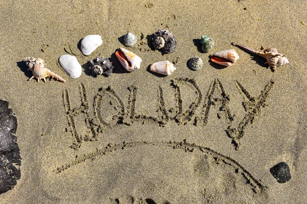 Sea Shells on the sand. — Stock Photo, Image