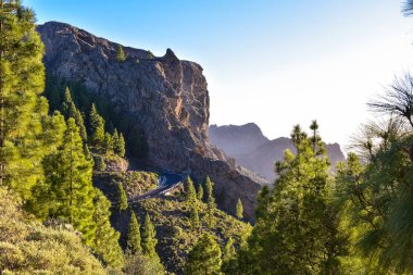 Güneşli bir günde Dağ Manzarası