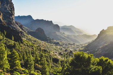 Güneşli bir günde Dağ Manzarası