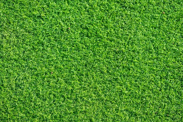 緑の草のテクスチャ ロイヤリティフリーのストック画像