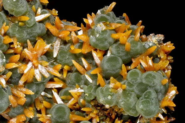 Matris Ma.gnolia.com Ojuela madeni, Mapim, Mun gelen yeşil Mimetites ile oturan karamela Wulfenite kristallerinin Müzesi örnek. de Mapim, Durango, Mexico