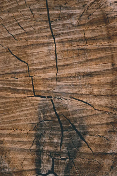 Hintergrund Textur eines gefällten Baumes rissige Streifen und Flecken — Stockfoto